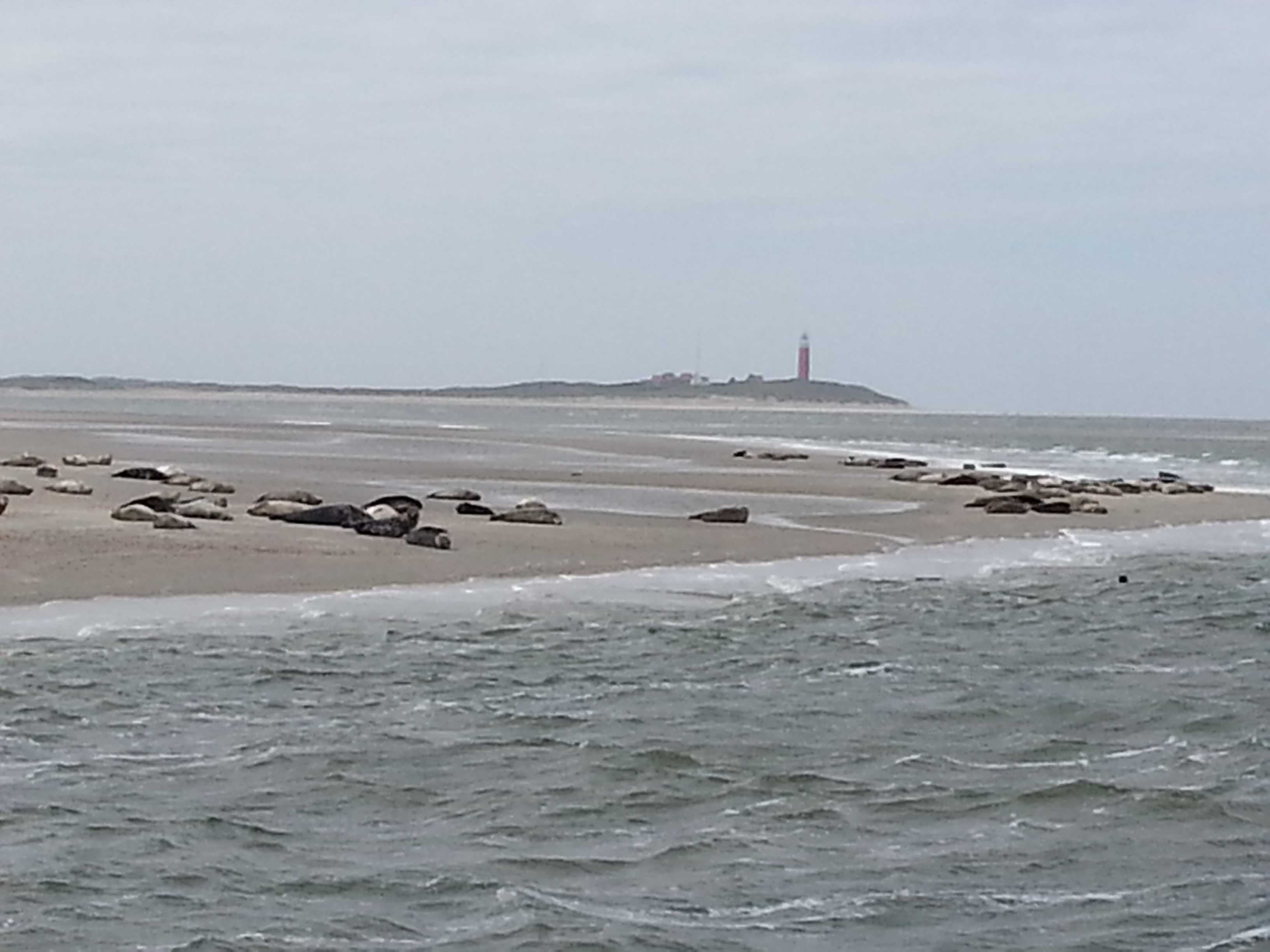 HWK Texel 122.jpg
